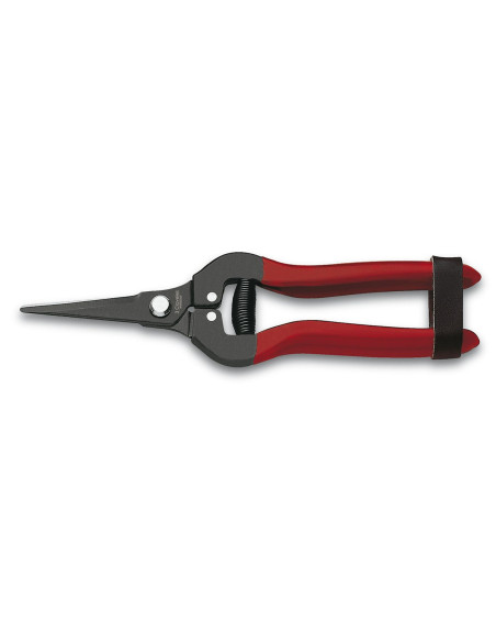 Grape Cleaner Shears