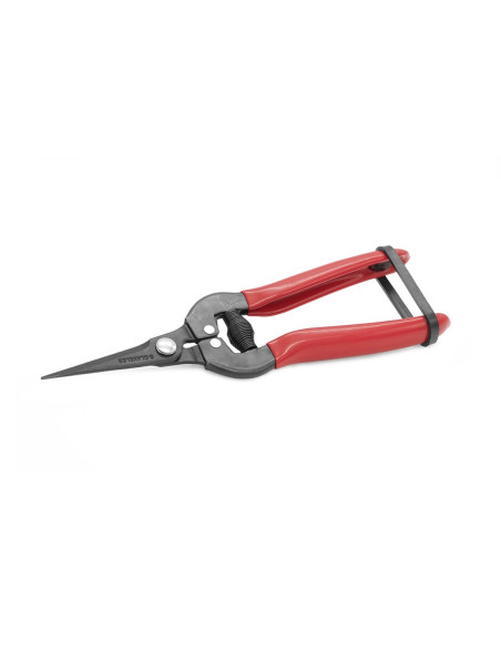Grape Cleaner Shears