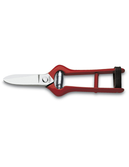 Grape Harvest Shears