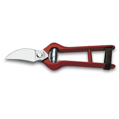 Grape Harvest & Pruning Shears