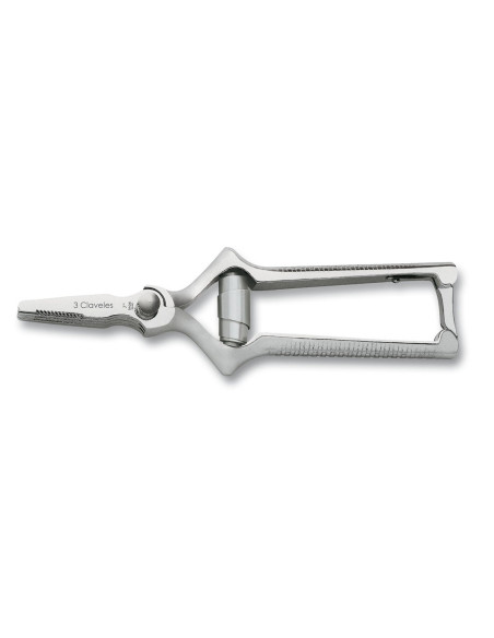 Masticateur Droit