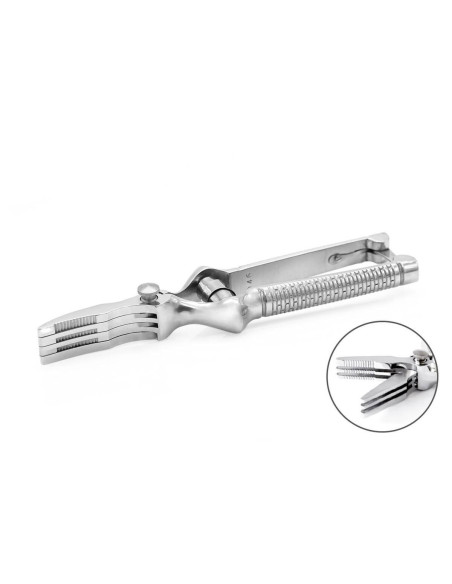 Masticateur Droit
