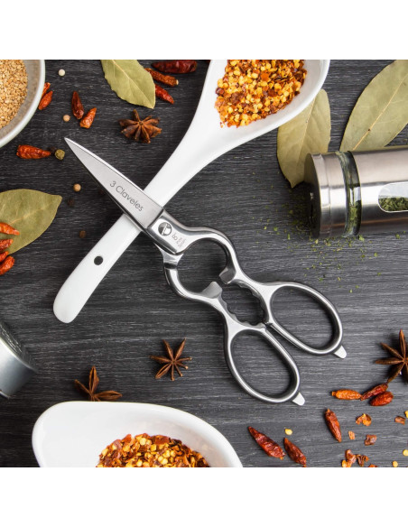 Multi Purpose Kitchen Shears