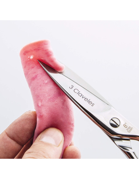 Star Kitchen Shears
