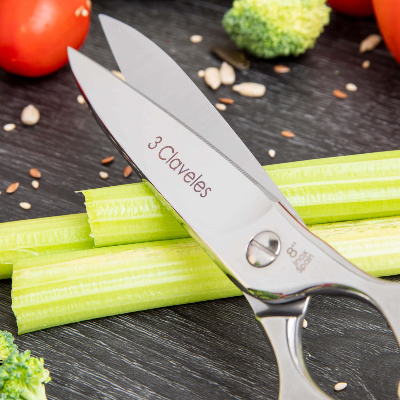 Ciseaux Cuisine Gastro