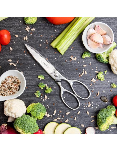 Ciseaux Cuisine Gastro