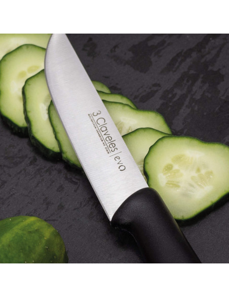 Cuchillo Cocina Evo