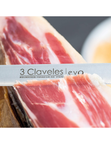 Set Cuchillo Jamonero Evo y Chaira