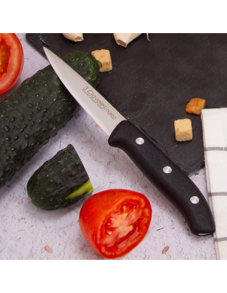 Domvs Paring Knife