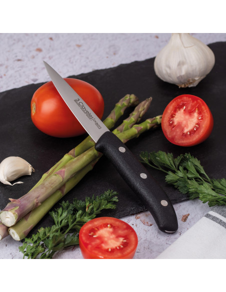 Cuchillo Verduras Domvs
