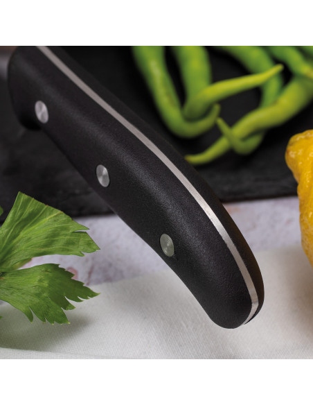 Domvs Bread Knife