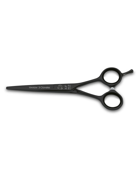 Ciseaux Coiffure Titanium