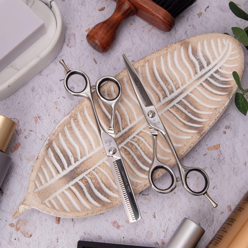 Ciseaux Coiffure Sílex Es 31