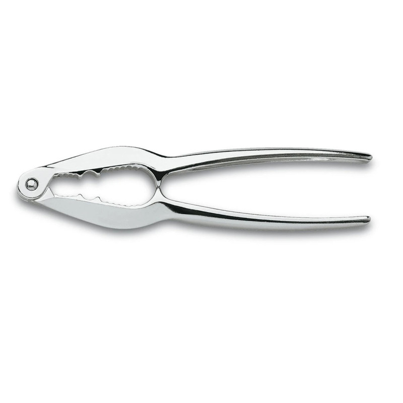 Chrome-Plated Nutscracker | 3 Claveles