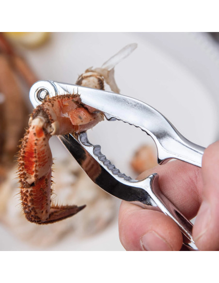 Chrome-Plated Nutscracker | 3 Claveles