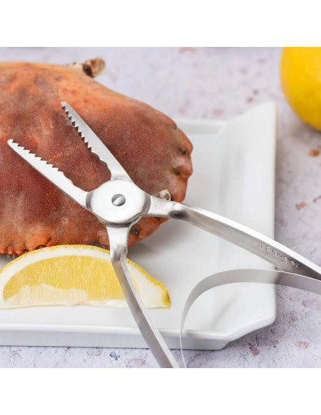 Small Sellfish Pliers with Spring | 3 Claveles