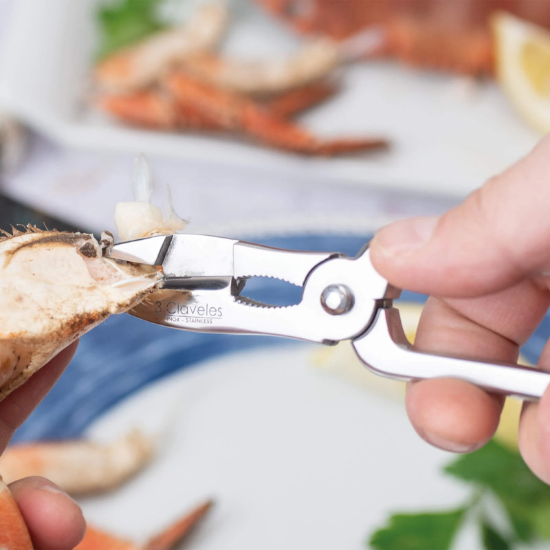 Forged Fish Cutter Spring & Anchorage | 3 Claveles