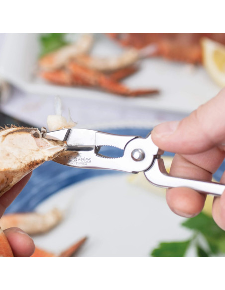 Forged Fish Cutter Spring & Anchorage | 3 Claveles