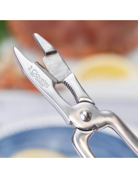Forged Fish Cutter Spring & Anchorage | 3 Claveles