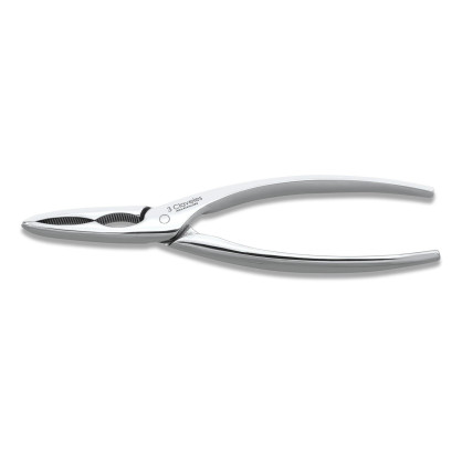 Forged Fish Cutter | 3 Claveles