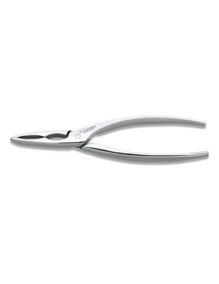 Forged Fish Cutter | 3 Claveles
