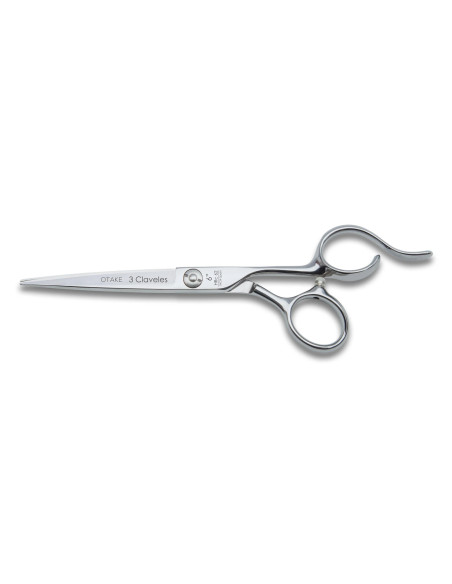Otake Hairdressing Scissors | 3 Claveles