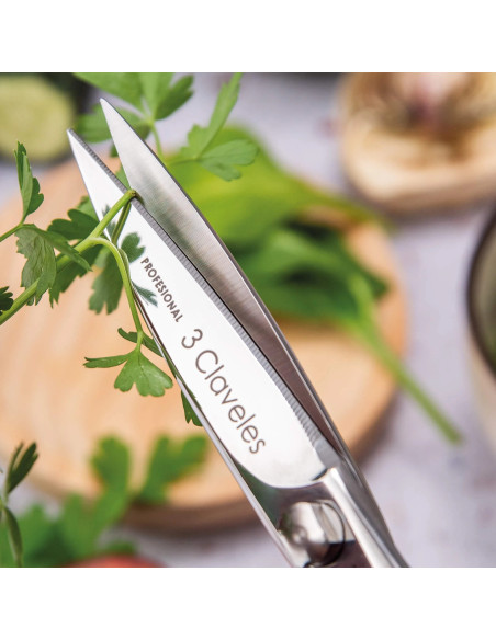 Ciseaux Cuisine Master Class | 3 Claveles