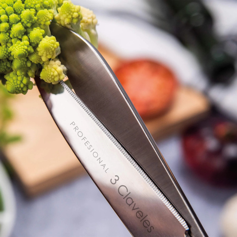 Ciseaux Cuisine Professionnel | 3 Claveles