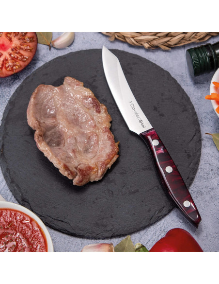 Set 4 Koi Steak Knife | 3 Claveles
