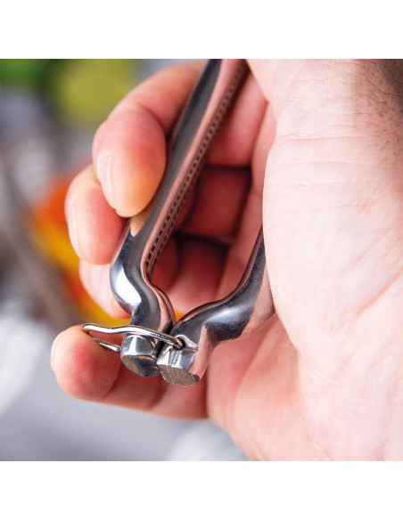 Poultry Shears | 3 Claveles