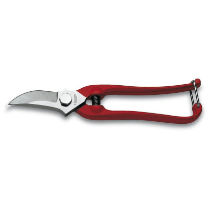 Grape Harvest and Garden Shears | 3 Claveles