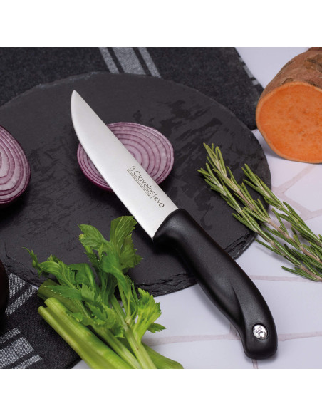 Set 3 Couteaux Cuissine Evo