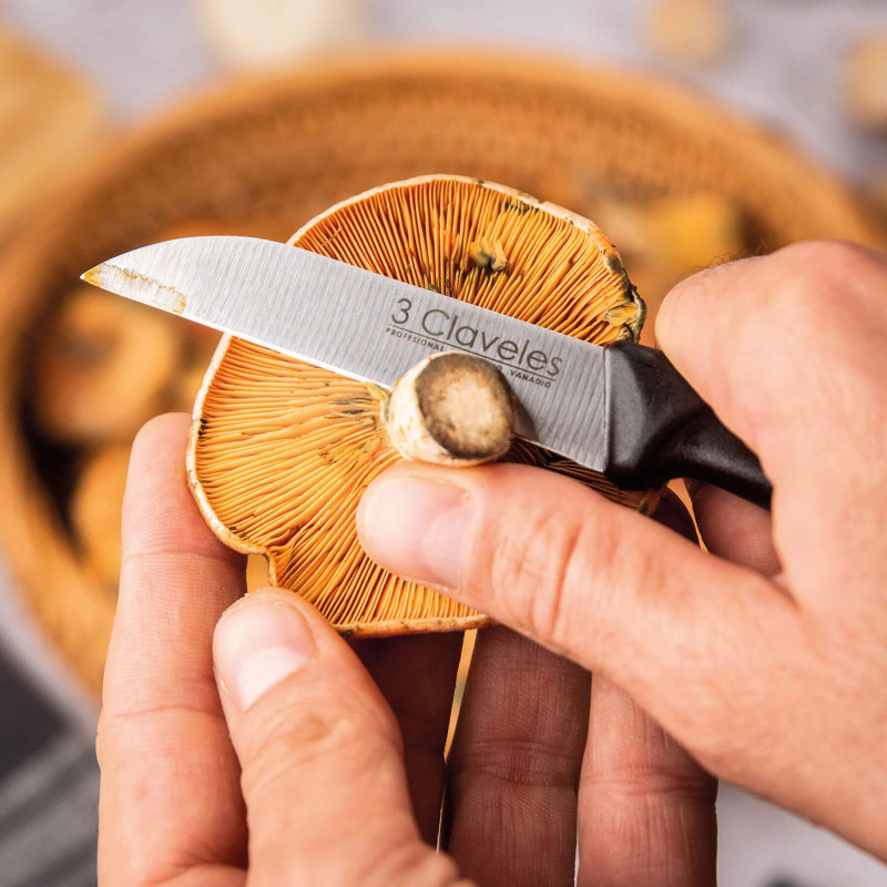 Peeling Knife | 3 Claveles