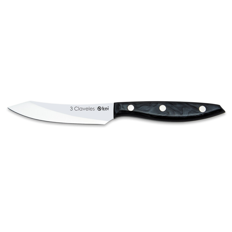 Set 4 Koi Steak Knife