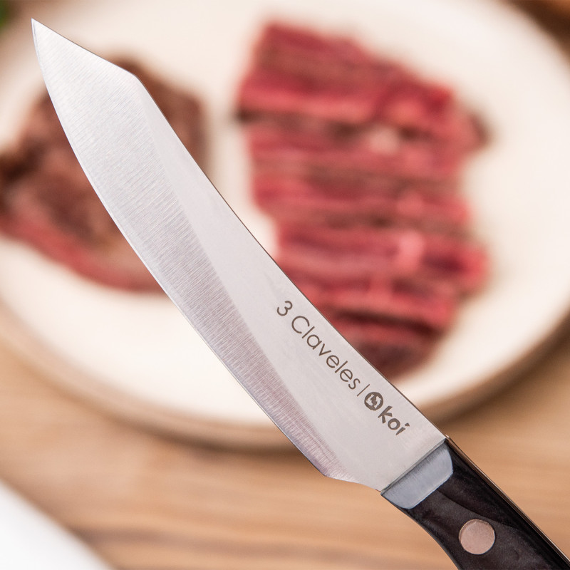 Set 4 Koi Steak Knife