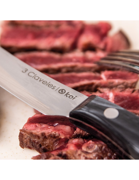 Set 4 Koi Steak Knife