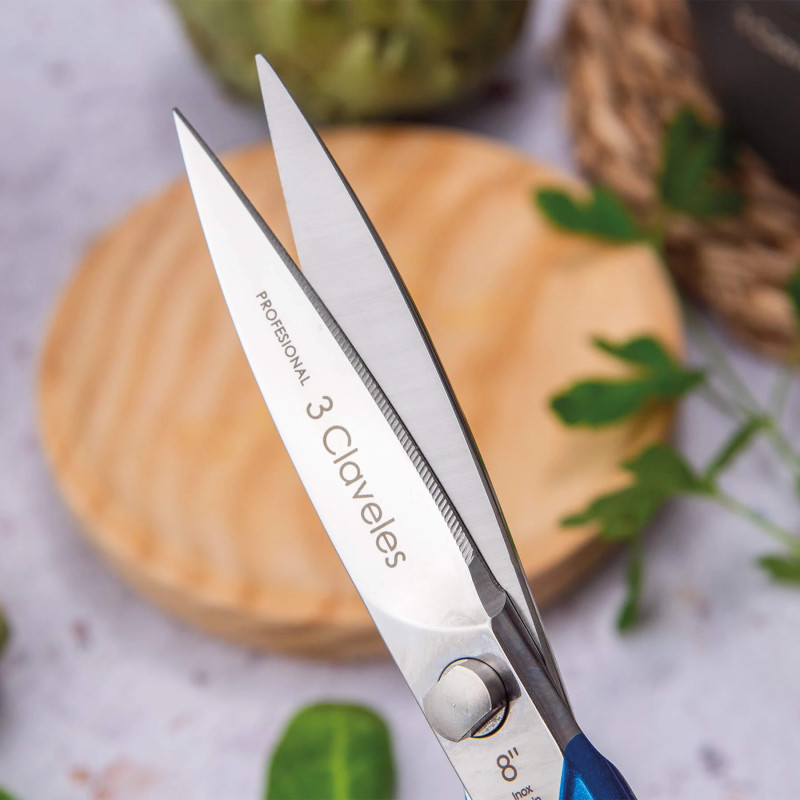 Ciseaux Cuisine Master | 3 Claveles