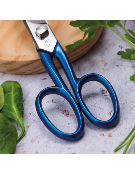 Ciseaux Cuisine Master | 3 Claveles