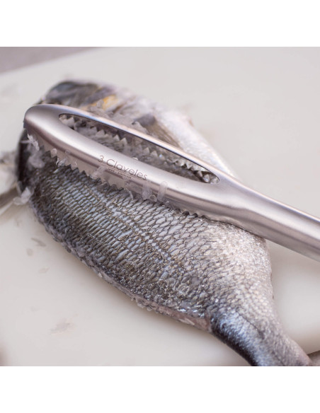 Stainless Professional Fish Scaler