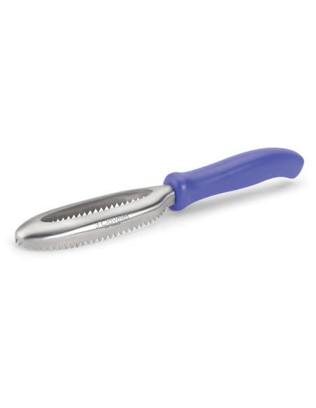 Ecailleur Professionnel Inox Bleu