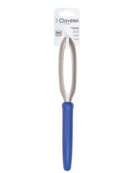 Ecailleur Professionnel Inox Bleu