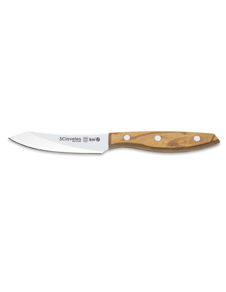 Set 4 Koi Steak Knife